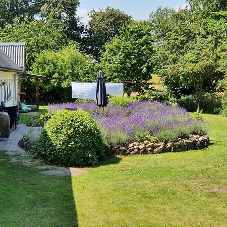 Rolso Retreat Knebel Exterior foto